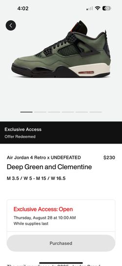 Undefeated 4’s Retro 4 Jordan Exclusive Access Size 9