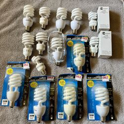15 Various Light Bulbs