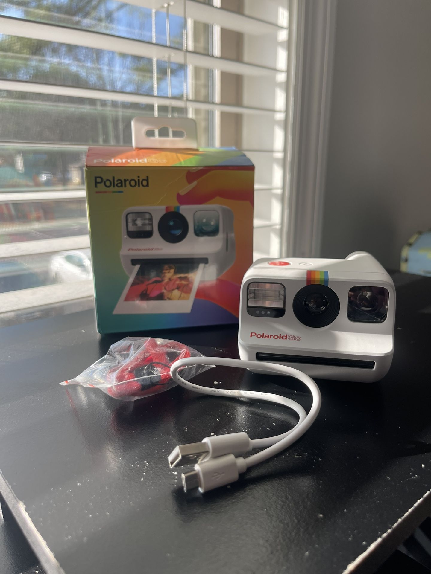 Polaroid Go