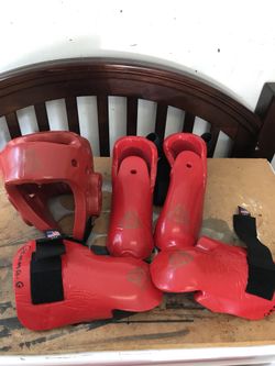 Martial arts sparring gear