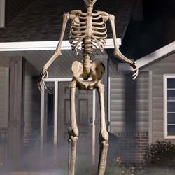 12ft Giant Skeleton