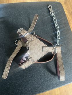Dog Harness Coach New