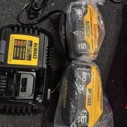 New Dewalt 20V Max 6amp Fast Charger, 5ah Battery, And 6ah Battery 