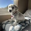 Sunny