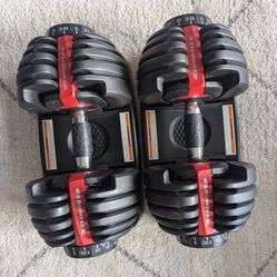 Bowflex Dumbells 