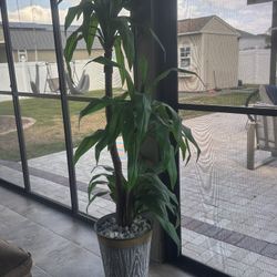 Artificial Plant