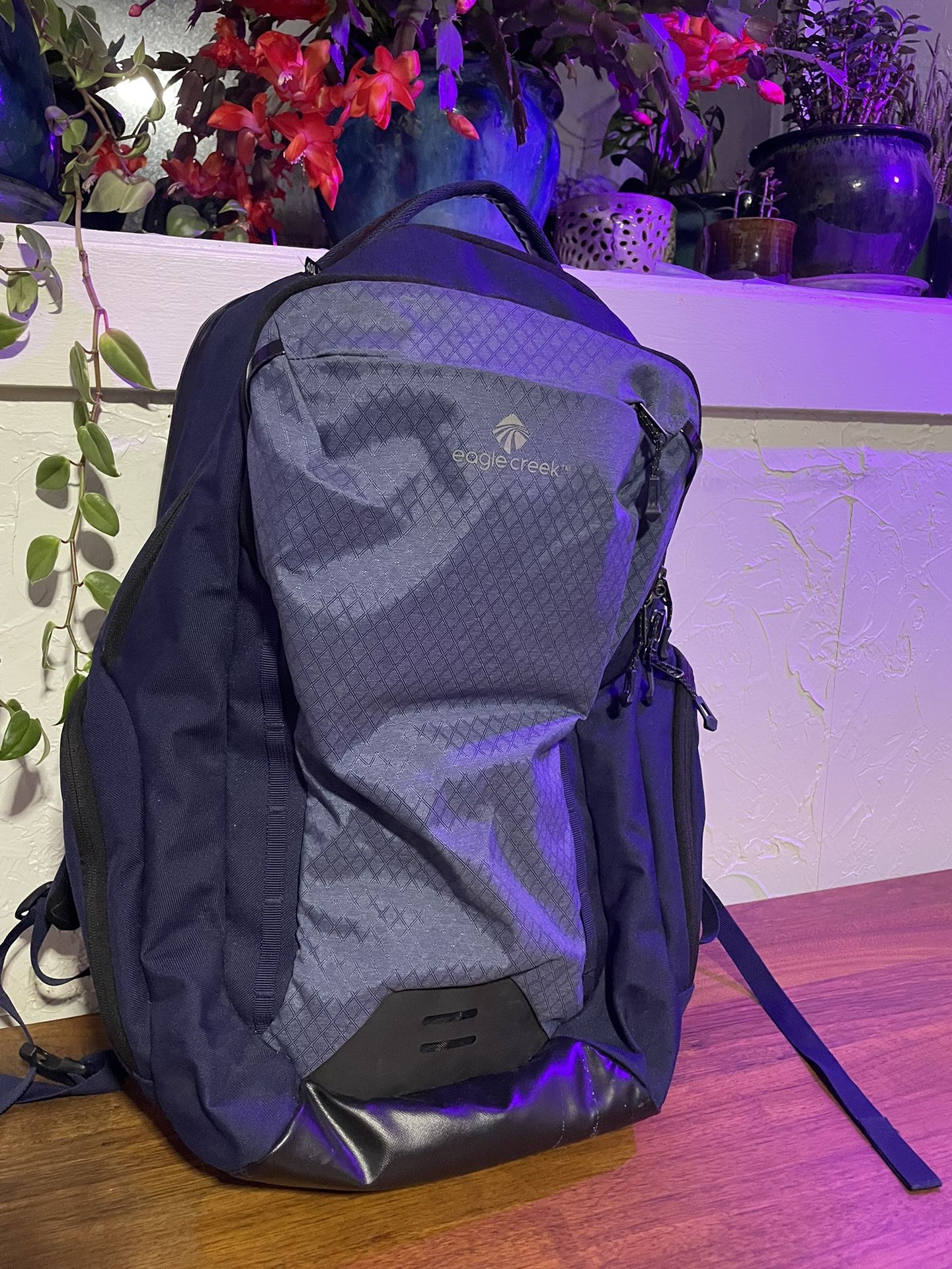 Eagle Creek Travel Backpack