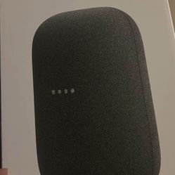 Google Home 
