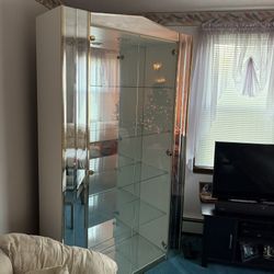 Glass Curio Display Cabinet With Over Head Light