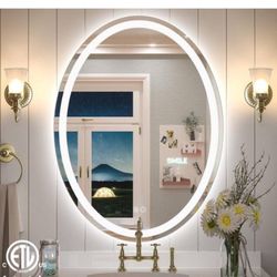 24 in. W x 32 in. H Oval Frameless Super Bright 192 Leds/m Lighted Anti-Fog Tempered Glass Wall Bathroom Vanity Mirror