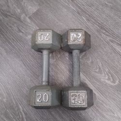 20 Lb Dumbbells 