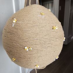 Bee Hive Gender Reveal 