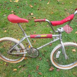 Team Murray 20 Inch Bmx Bike 