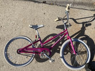 Schwinn 20 inch BMX