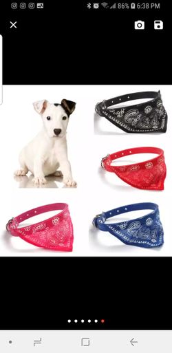 Puppy or Cat Bandana collar