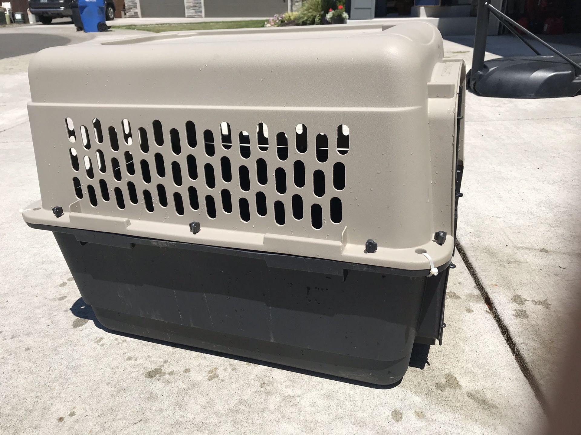 Airline approved dog kennel