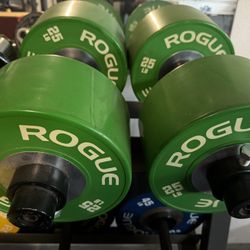 Rogue Bumper Plate Dumbbells