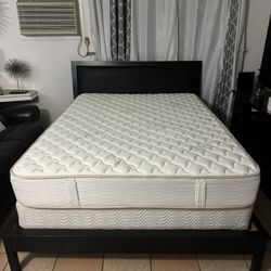 Queen Bed
