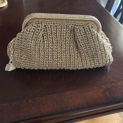Brand New Clutch Bag 