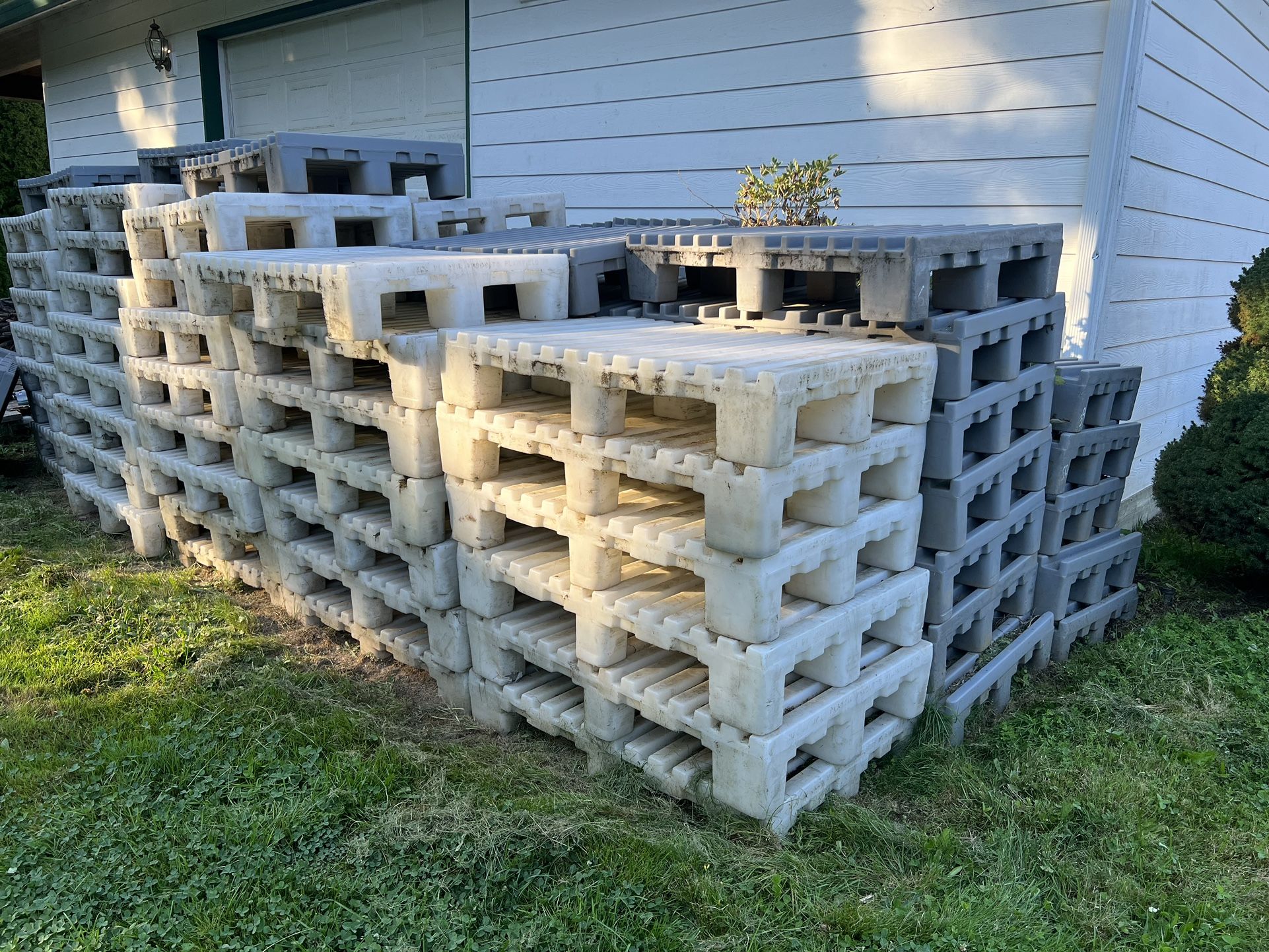 Plastic Pallets - Grey And White