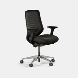 Branch ergonomic desk chair