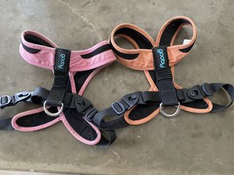 Dog Harnesses