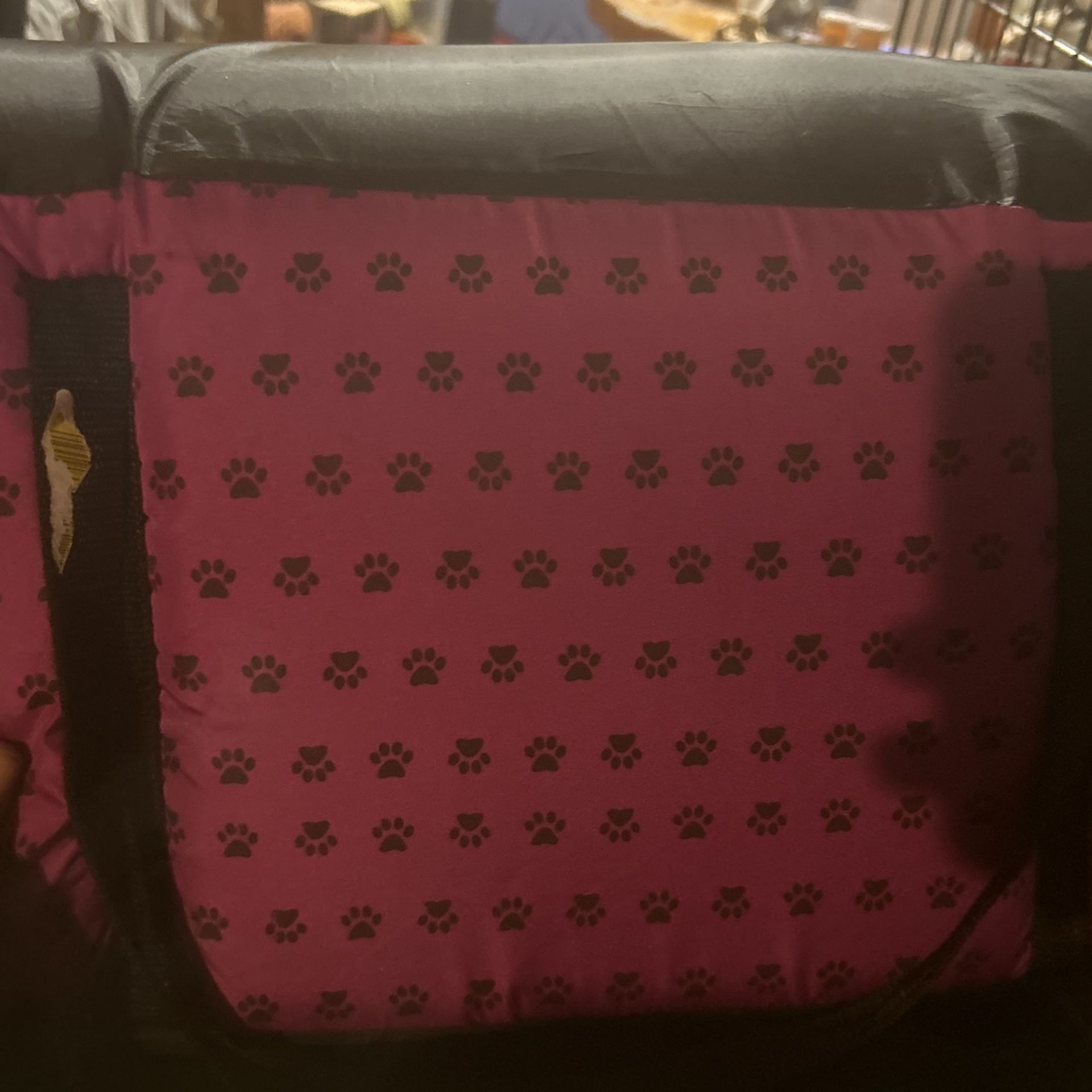 Dog. Bag
