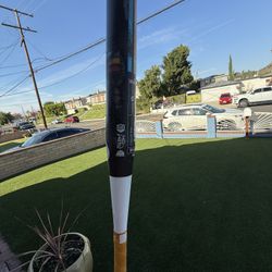 Demarini Raw Steel