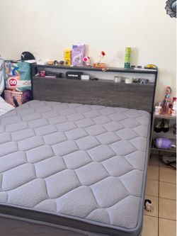 Cama