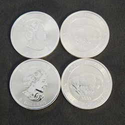 5oz Silver