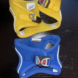 XXS Pet Harnesses (blue + yellow)