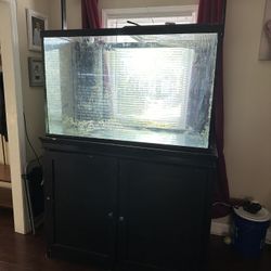 Salt Water Aquarium Setup 150 Gallon 