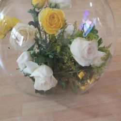  bubble Glass 16 Inch  for decoration or centerpiece flowers, 10 pieces /$30 each