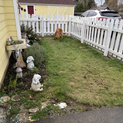 ISO Turf And Turf Installation