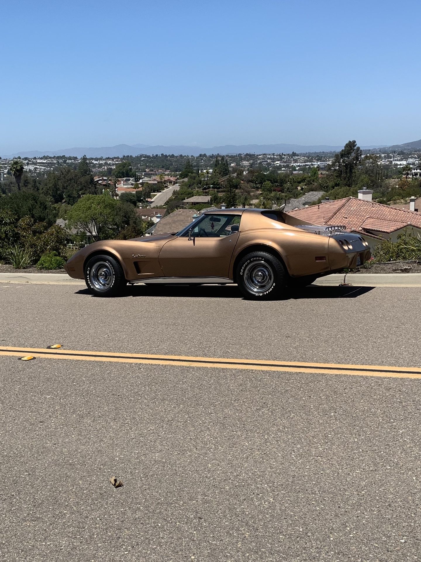1975 Chevrolet Corvette