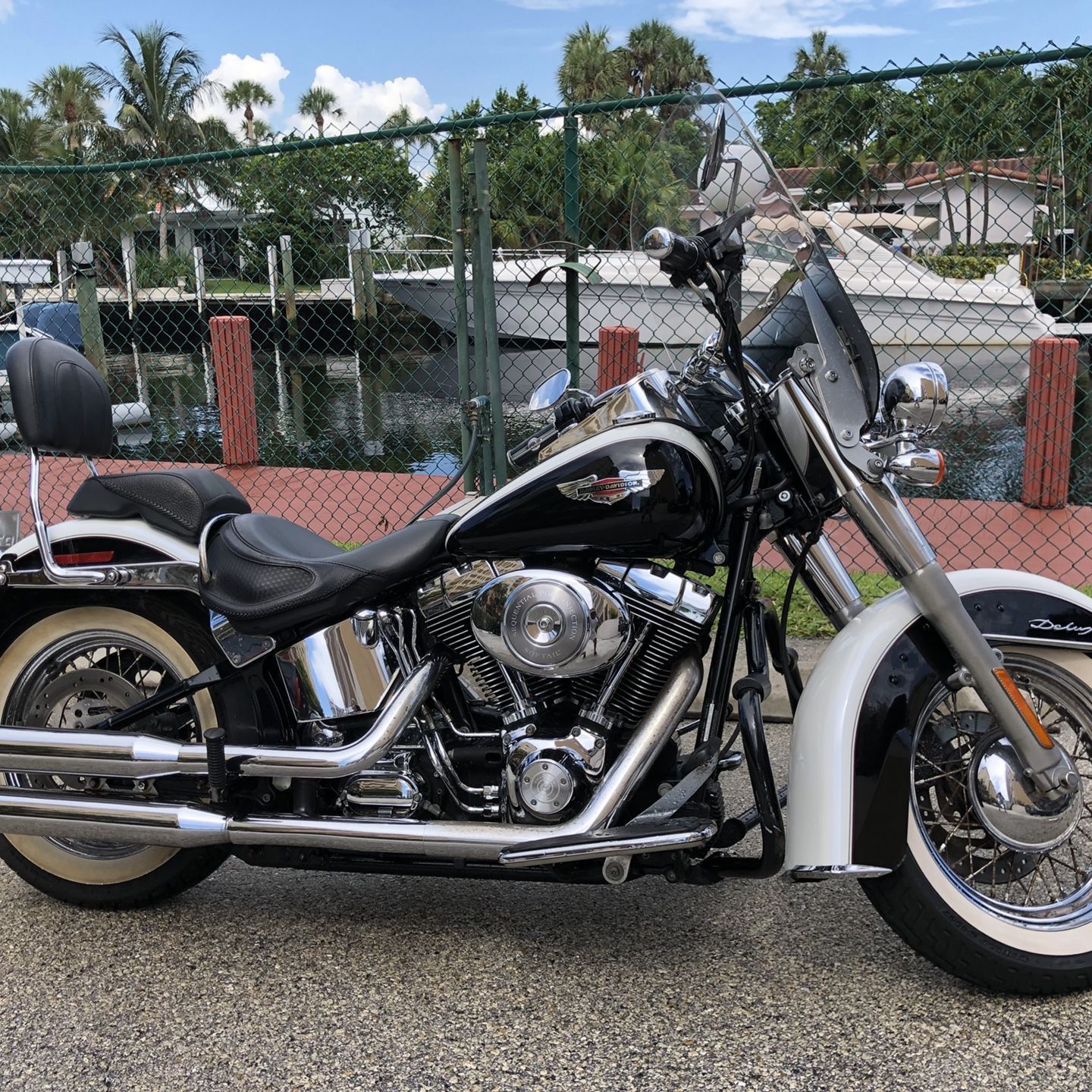 2005 Harley Davidson Softail deluxe