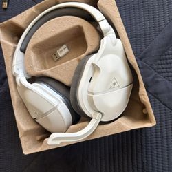 Turtle Beach Headset (wireless)