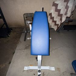 Back Machine The Once From The Gym