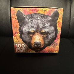 Premium Puzzle 100 piece