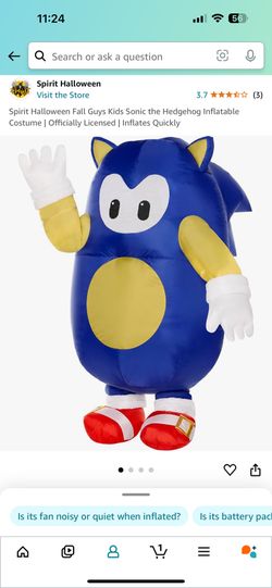 Sonic Costume