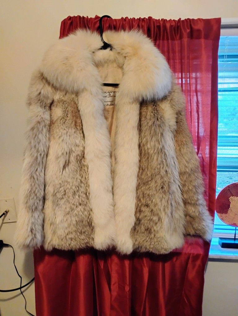 Himmel Furs coat 