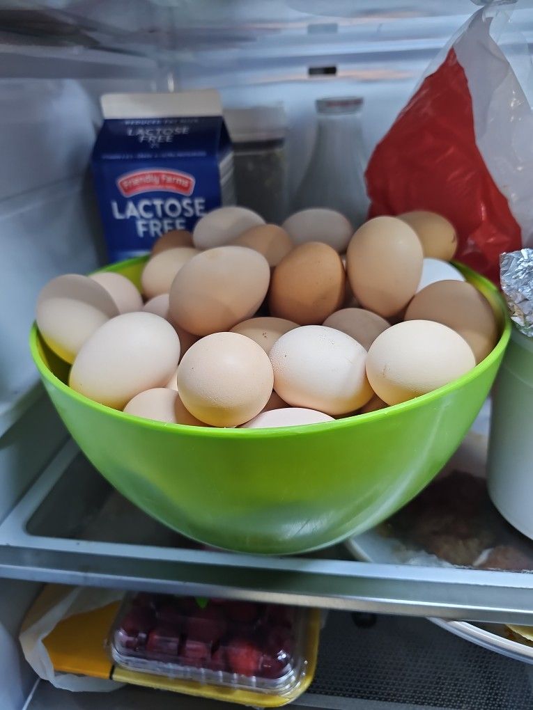 Eggs For Sale