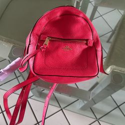 Pink Coach Bag