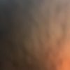 Felix