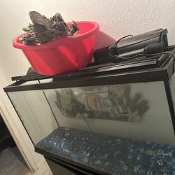 fish tank & accessories 
