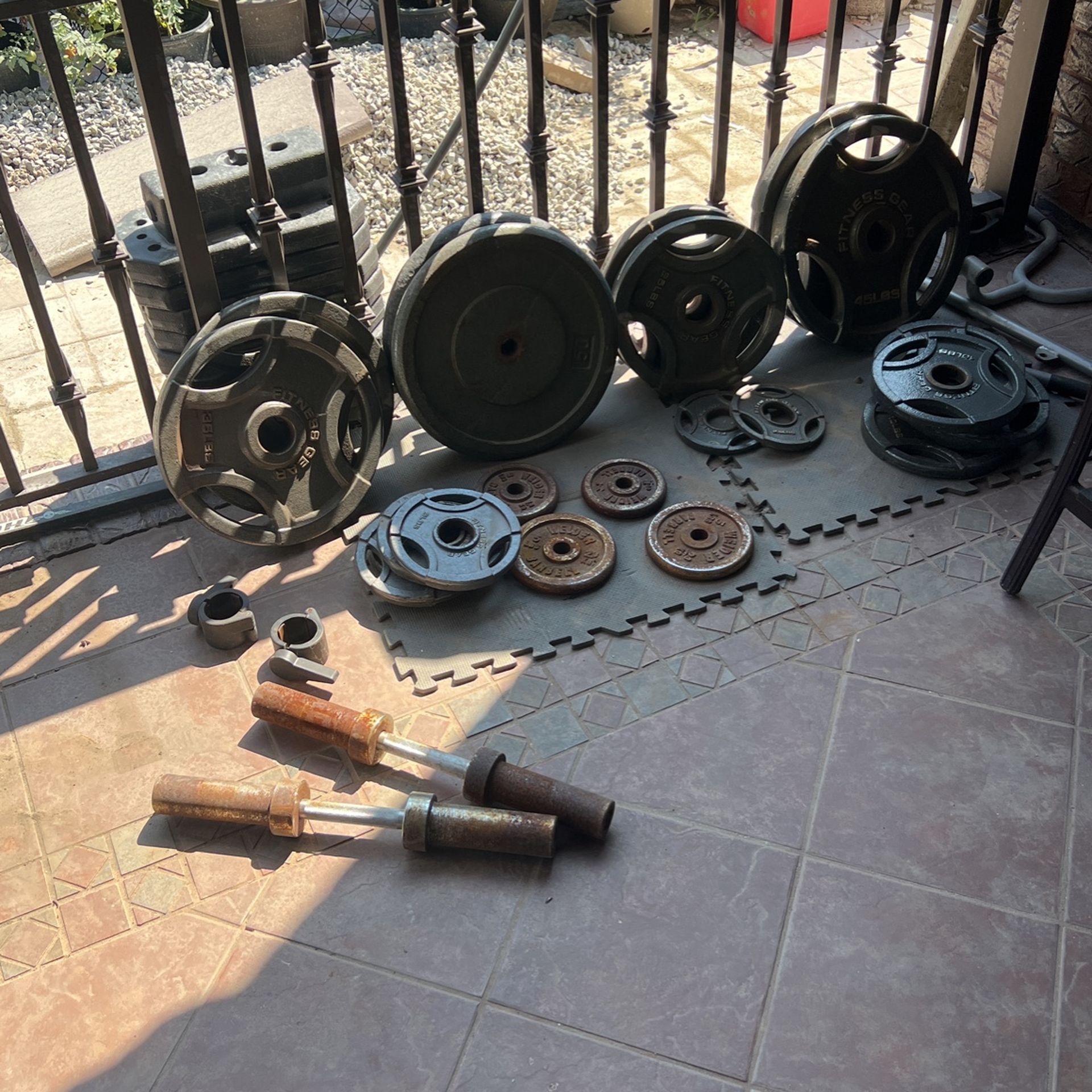 Weights Barbells And Racks