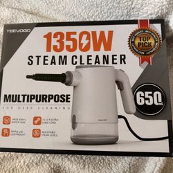 Steam Cleaner