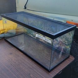 Terrarium 20 Gal