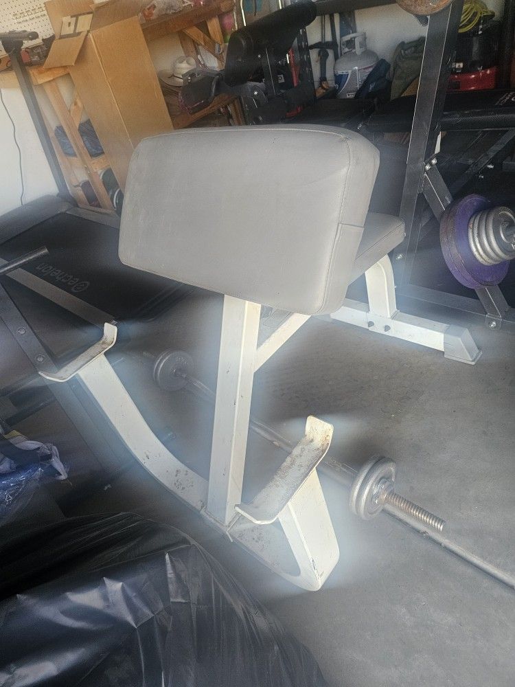 Preacher Curl Bench