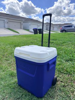 Igloo Latitude 60-Quart Roller Cooler